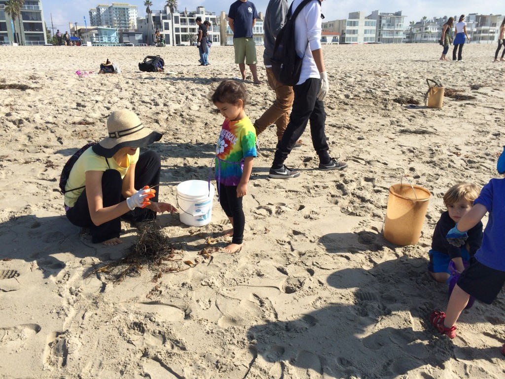 beachcleanup3
