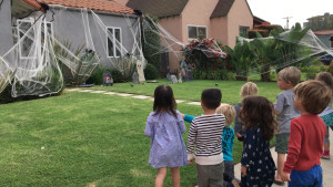 spiders-halloween-house-jpeg