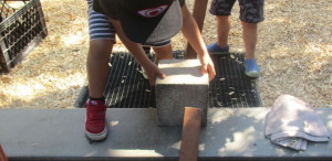 IMG_1397-e1504202891343-840x410