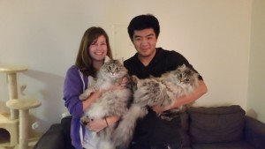 20170109_192922-768x432